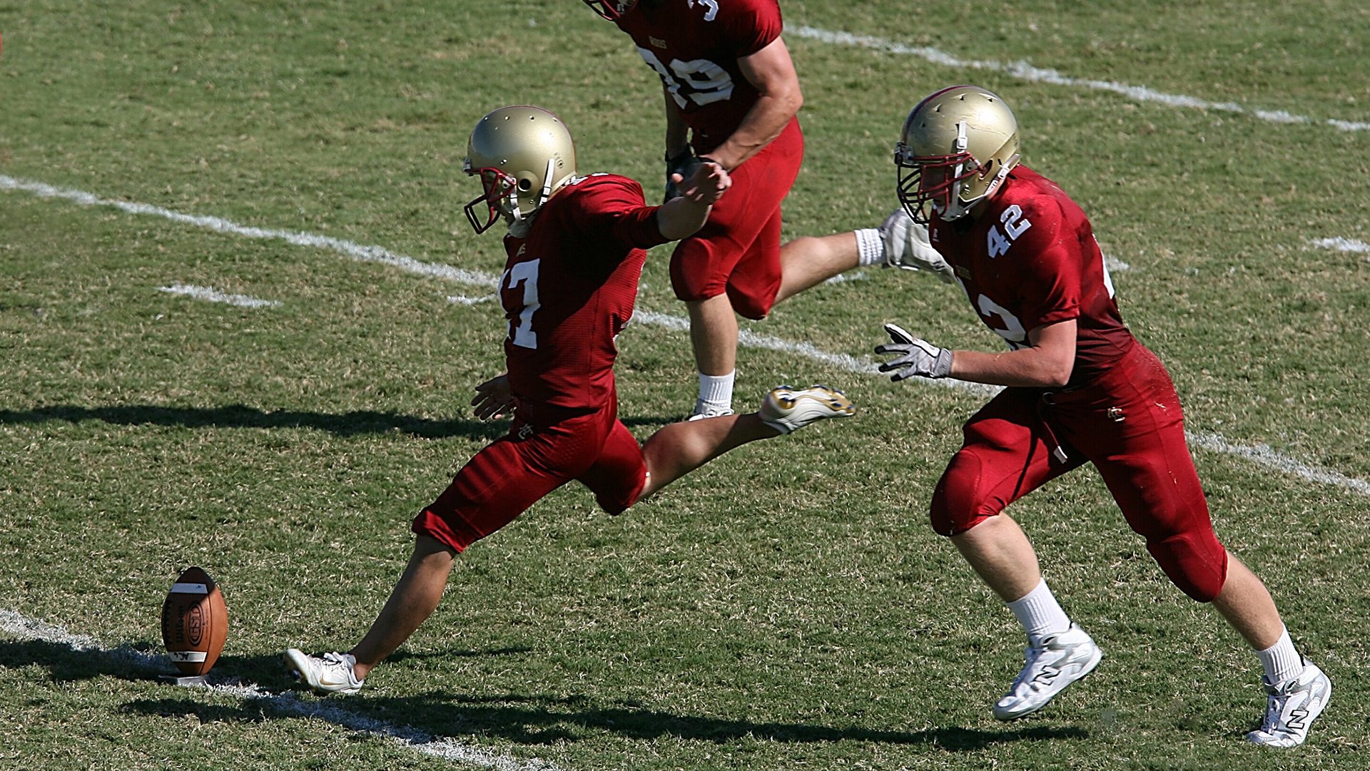 _生态运动公园：在自然中畅享运动时光_，生态体育主题公园